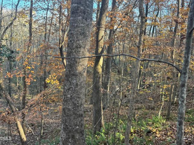 Land for sale in Wilsons Mills, North Carolina