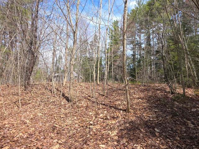 Land for sale in New Hampshire