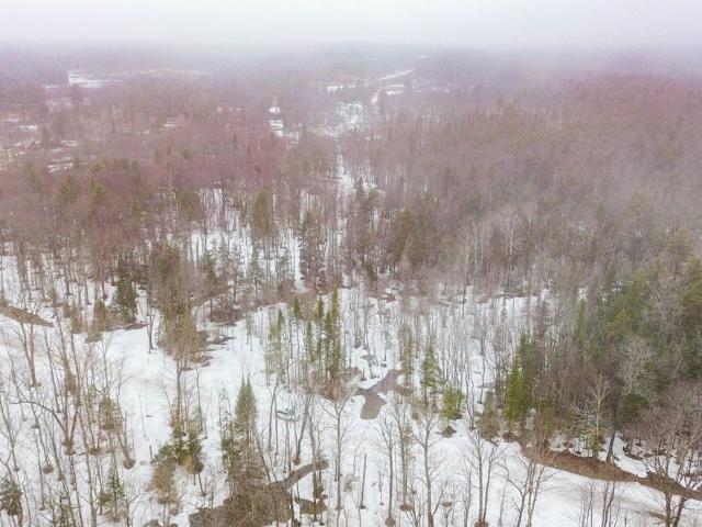 Land for sale in Brantingham, New York