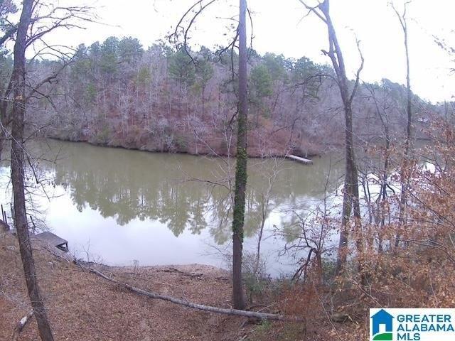 Land for sale in Clanton, Chilton County