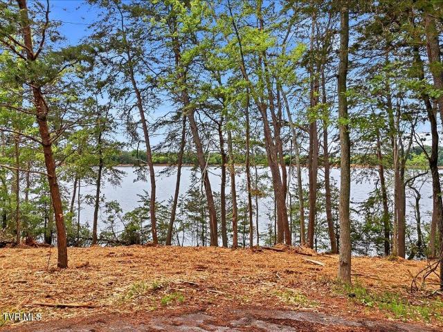 Land for sale in Tennessee