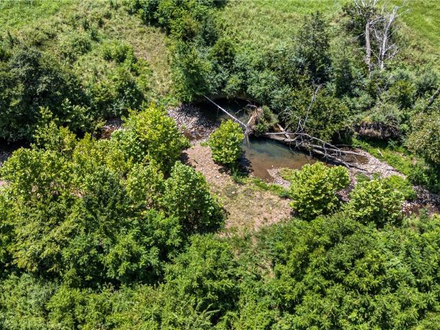 Land for sale in Hector, Pope County