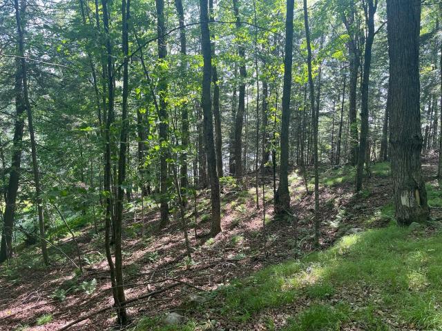 Land for sale in Wisconsin