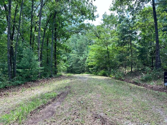 Land for sale in Pickens, Georgia