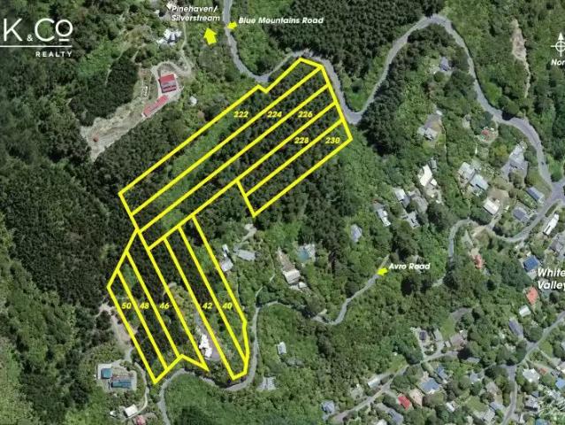 House for sale in Pauatahanui, Wellington