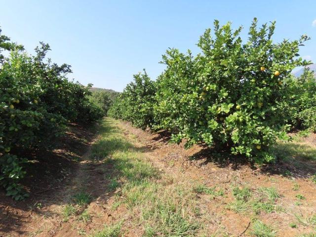 Farm for sale in Ehlanzeni, Mpumalanga