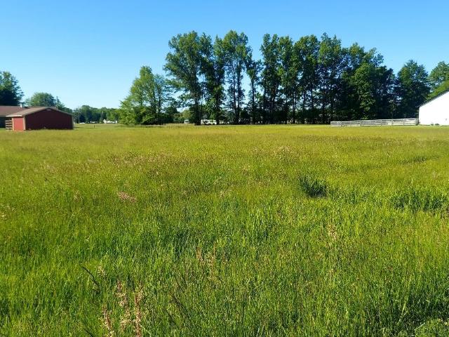 Land for sale in Sardinia, Ohio