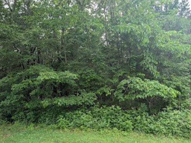 Land for sale in Tennessee