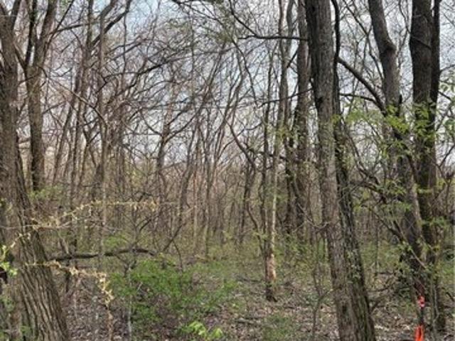 Land for sale in Ark