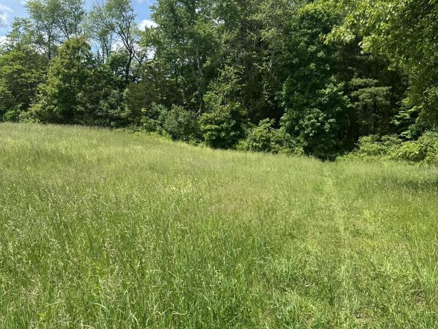 Land for sale in Ghent, New York