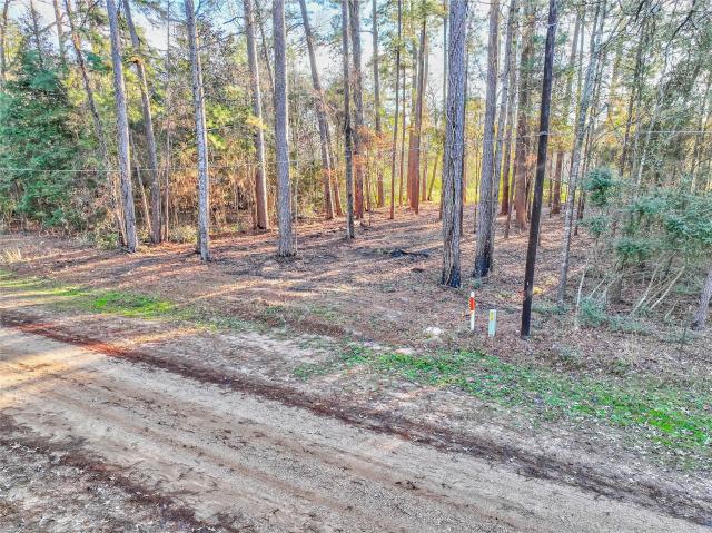 Land for sale in Coldspring, San Jacinto County