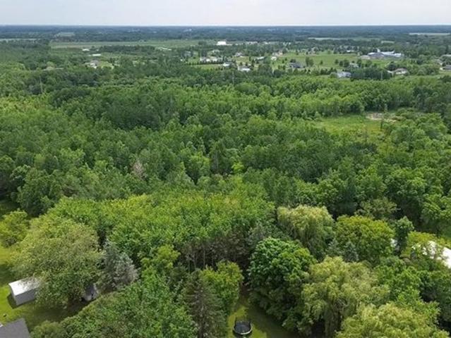 Land for sale in Foreston, Minnesota