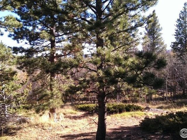 Land for sale in Red Feather Lakes, Colorado