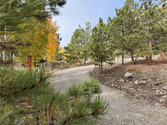 House for sale in Hartsel, Park County