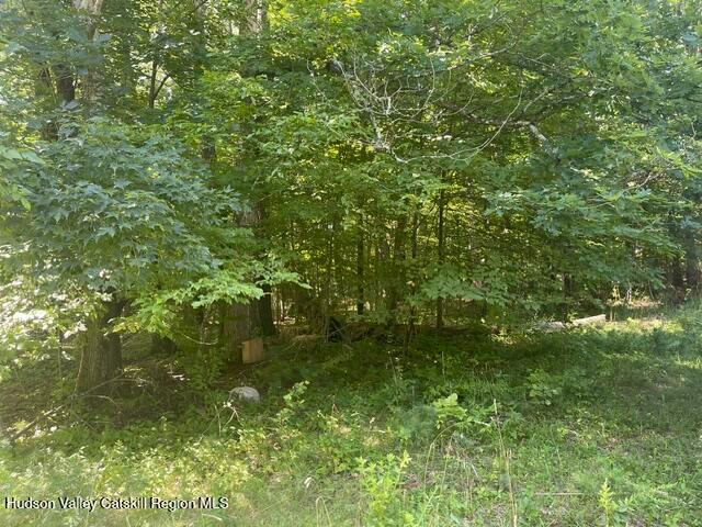 House for sale in Acra, New York