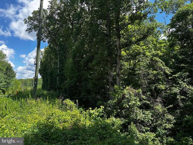Land for sale in Virginia