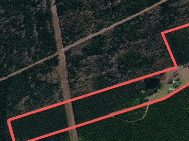 Land for sale in Evans, Georgia