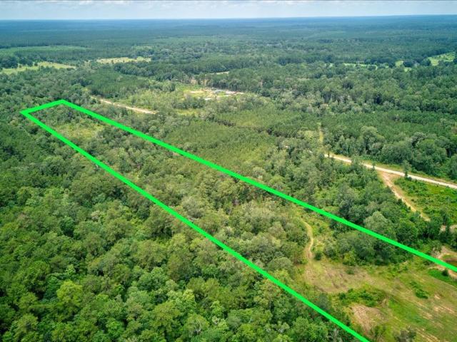 Land for sale in Hillister, Texas