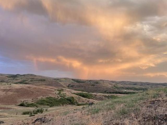 Land for sale in Council, Adams County