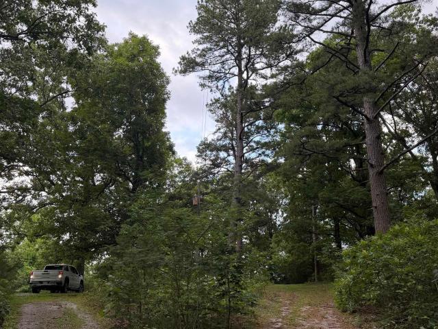 Land for sale in Ark