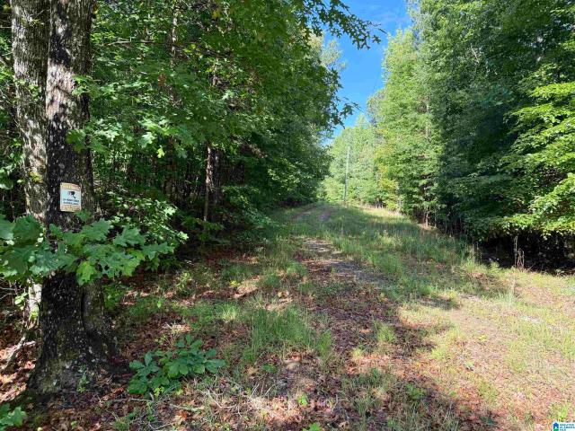 Land for sale in Wadley, Alabama
