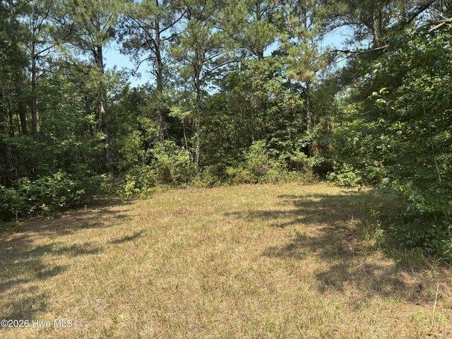 Land for sale in Pink Hill, North Carolina