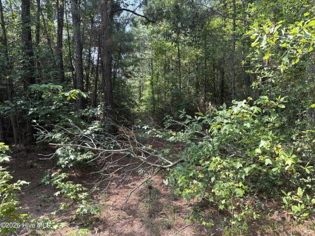Land for sale in Pink Hill, North Carolina
