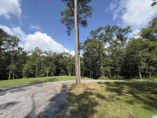 Land for sale in Sterrett, Alabama