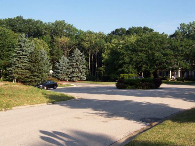 Land for sale in Homer Glen, Illinois