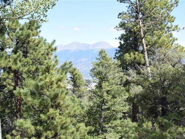 Land for sale in Buena Vista, Chaffee County