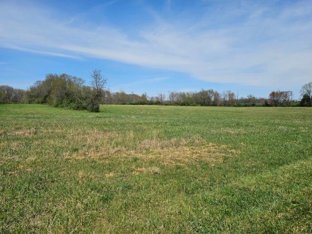 Land for sale in Benton, Illinois
