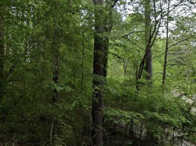 Land for sale in Birmingham, Jefferson County