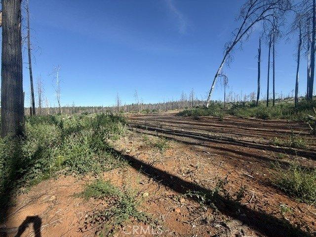 Land for sale in Butte, California