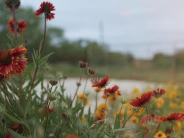 Farm for sale in Mills, Texas