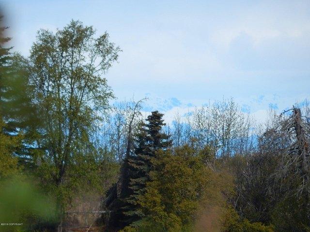 Land for sale in Ninilchik
