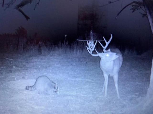 Land for sale in Oklahoma