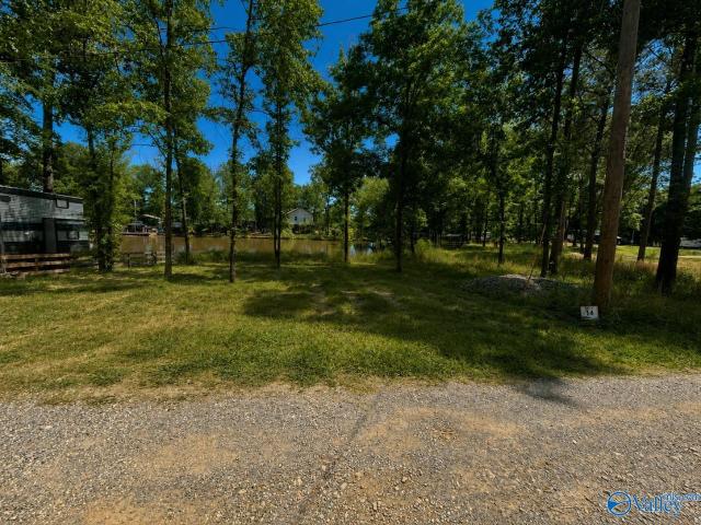 Land for sale in Cedar Bluff, Alabama