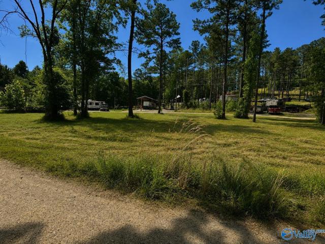 Land for sale in Cedar Bluff, Alabama