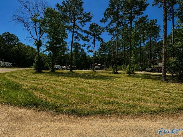 Land for sale in Cedar Bluff, Alabama