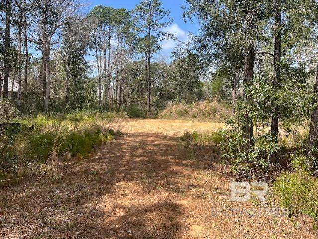 Land for sale in Summerdale, Alabama