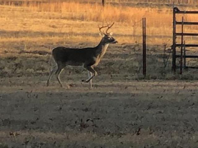House for sale in Boswell, Oklahoma