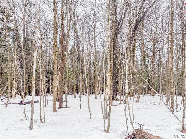 Land for sale in Brantingham, New York