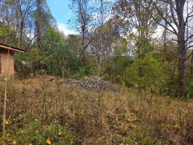 Land for sale in Pennington Gap, Lee County