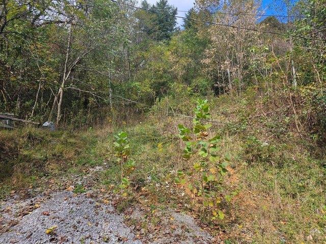 Land for sale in Pennington Gap, Lee County