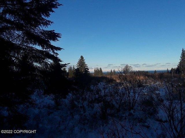 Land for sale in Ninilchik