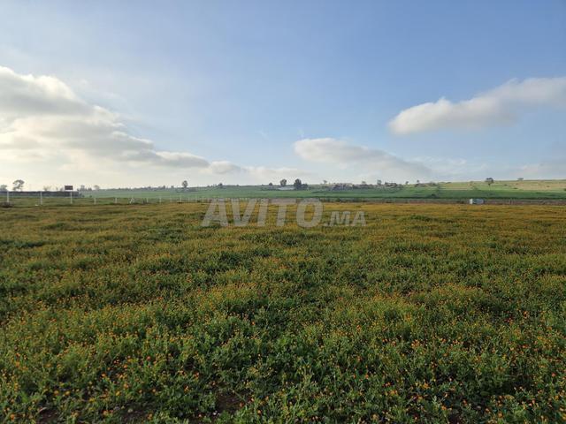 Propriété vente à El Ma, Gharb-Chrarda-Beni Hssen