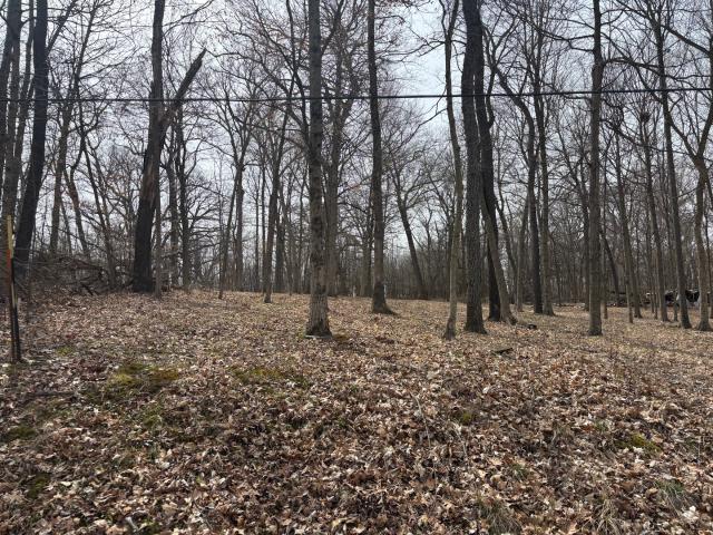 Land for sale in Marshall, Illinois