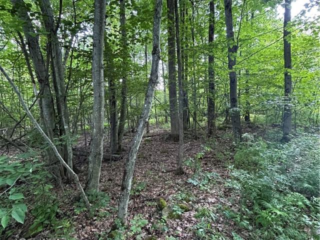 Land for sale in North Norwich, New York