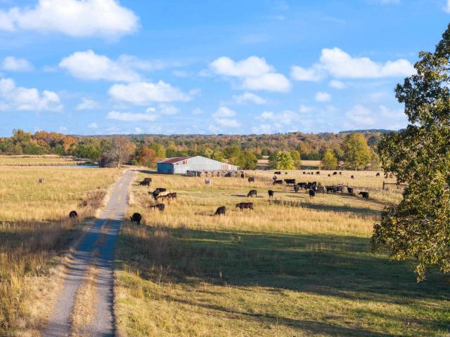 Land for sale in Ark