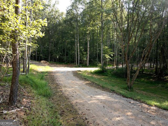 Land for sale in Enchanted Woods, Blairsville